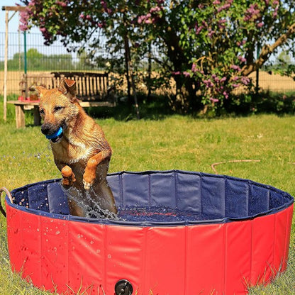 Piscina Plegable para Mascotas